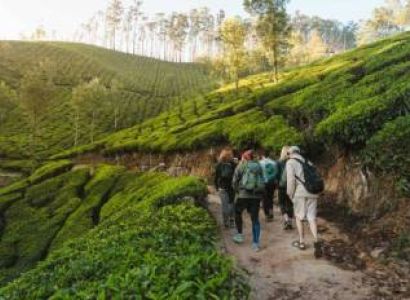 4 Days 3 Night Munnar Adventure Tourism