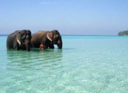Andaman 5 Nights 6 Days Tour