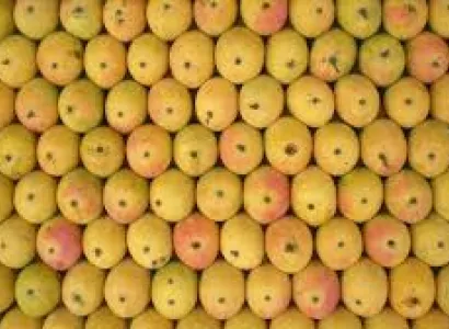 5 Nights - 6 Days Konkan Tour