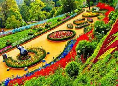 Ooty 2 Nights 3 Days
