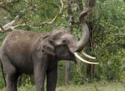 2NIGHTS / 3DAYS ( PERUNTHURAI - MASINAKUDI)