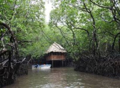 5nights / 6days Port Blair- Baratang Island