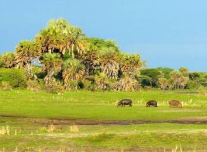 5 Days 4 Nights Katavi National Park