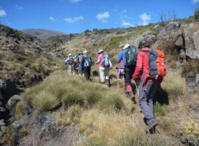 7 Days 6 Nights Camping Trekking ( Kilimanjaro Mountain) Through Lemosho Route