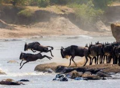 12 days 11 nights Tanzania safaris and Kenya