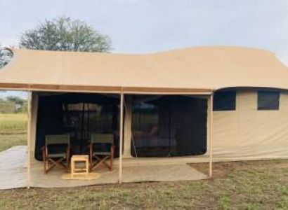 3 Nights 4 Days Serengeti National Park