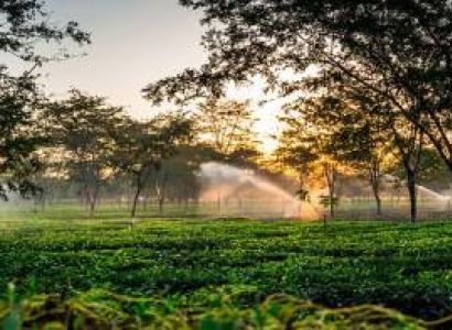 11 Night - 12 Days Assam - Meghalaye Tour Package