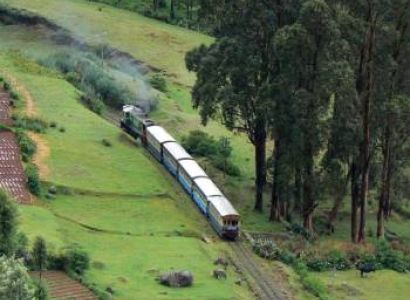 Bandipur Ooty Tour For 4 Days