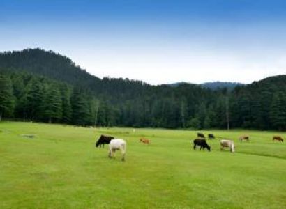 Himachal With Amritsar 05 Nights - 06 Days Tour