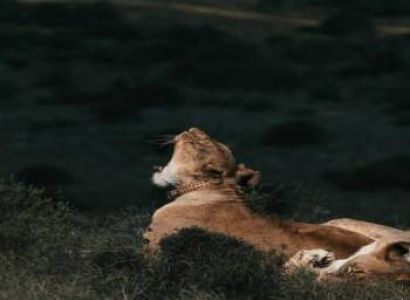 Nainital & Jim Corbett 3 Night 4 Days