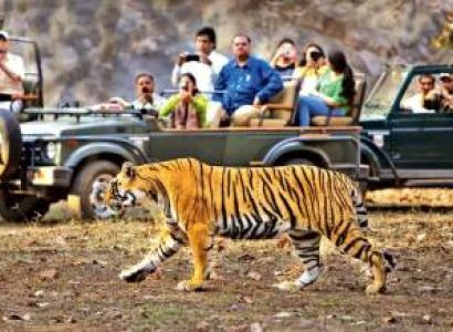 Nainital & Jim Corbett 3 Night 4 Days