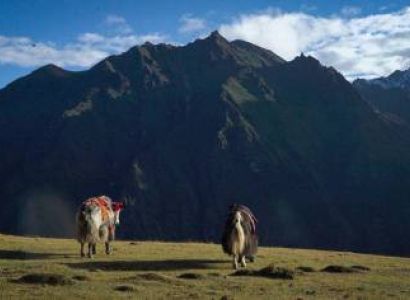 13 Days The Laya Gasa Trek Tour
