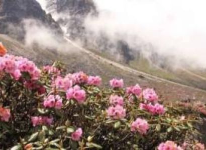 Amorous Dale-Kalimpong-Gangtok-Lachen-Lachung-Pelling-Darjeeling-Mirik 14N Tour