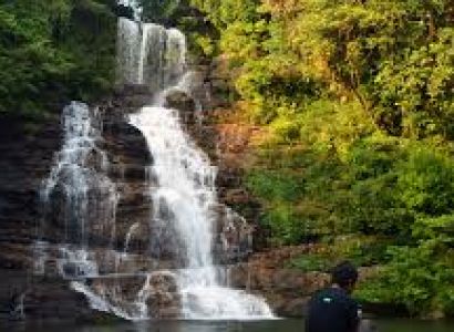 Assam Explorer Tour Package 4 Night - 5 Days
