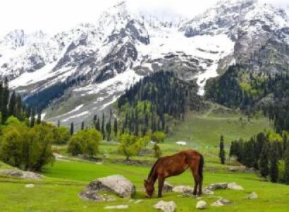 6 Days Srinagar & Pahalgam & Sonamarg & Gulmarg Tour Package Budget
