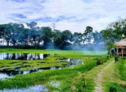5 Days Assam Tour Package (232934)