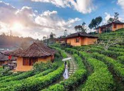 Enchanting Nagaland Tour