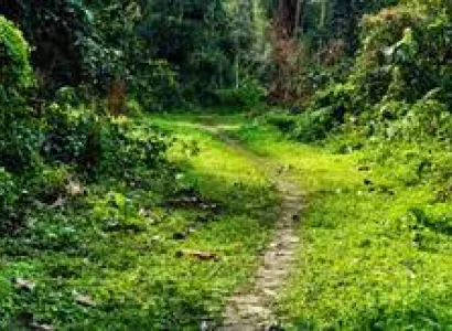 Nameri National Park Foot Trek