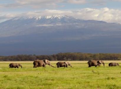 4 Days Maasai Mara Fly-in Safari