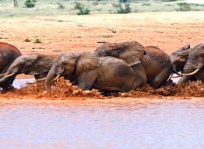 3 Days Safari to Tsavo East National Park from Mombasa/Diani