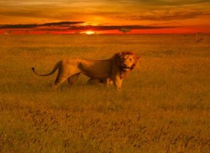 4 Days Tsavo West/Tsavo East and Amboseli Safari from Mombasa