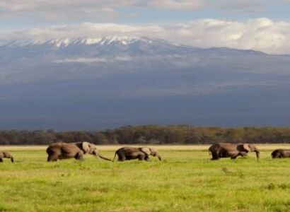 3-Day Private Amboseli Safari from Nairobi