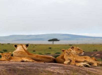 4-Day Maasai Mara & Lake Naivasha Private Safari from Nairobi