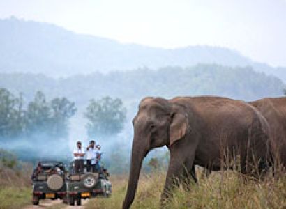 Corbett Dhikala Tour 03 Nights | 04 Days