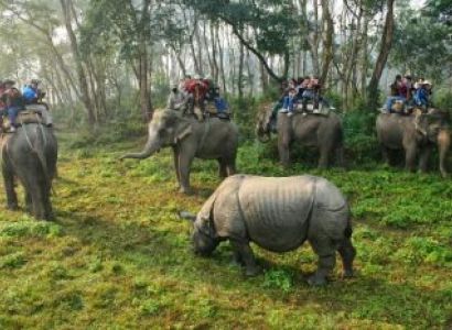 Glimpse of Nepal with Jungle Experience
