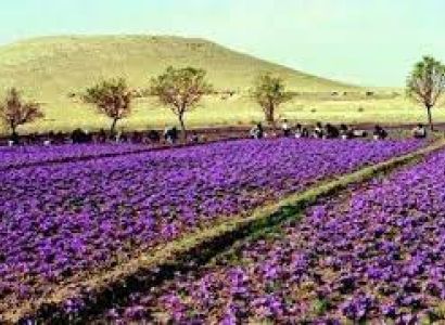 6 Days 5 Night Kashmir Package