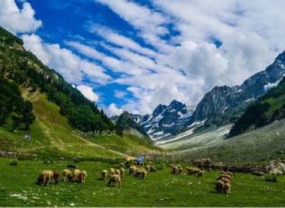 Kashmir Tour For 5 Days