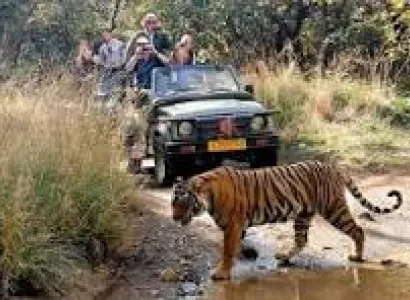 Rajasthan Honeymoon Tour Package 6 Days & 5 Nights