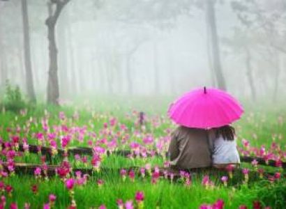 SOULMATE SPECIAL WAYANAD & COORG