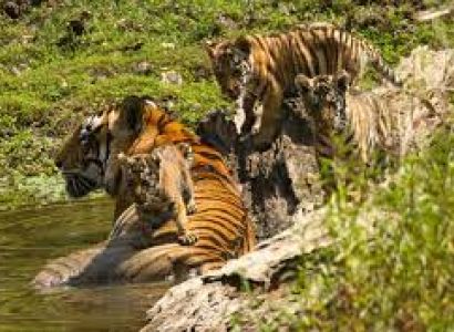 12 Nights 13 Days Central India - Royal And Tribal Experience