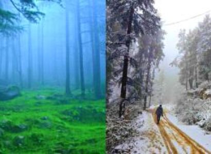 Gopalpur - Daringbadi 3 Nights - 4 Days Tour