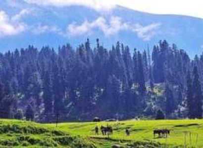 5 Nights 6Days Kashmir Trip