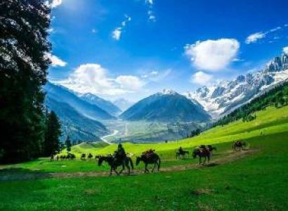 6Nights  7Days Majestic Kashmir Package