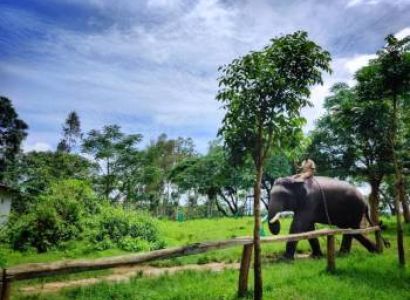 5 Nights 6 Days Bangalote to Mysore , Coorg and Ooty