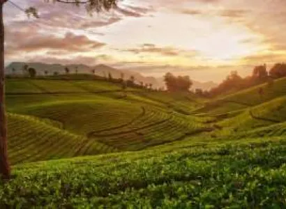 3 Nights 4 Days Bangalore to Belur Halebidu Chikmangalore Tour Pacakge