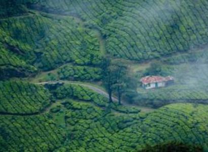 3 Nights 4 Days Munnar - Thekkady Tour Package