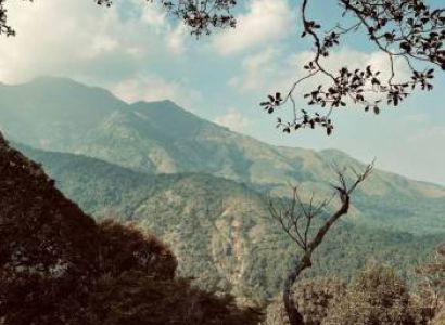 2 Nights 3 Days Wayanad Weekend Tour Package