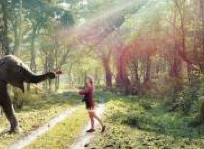 12 Nights 13 Days Heavenly Escape To Sikkim And Darjeeling Tour