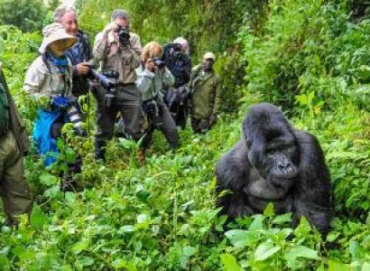 11 Days Kenya Uganda Wildlife Safari Tour