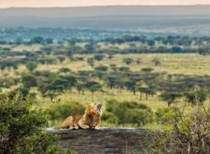 15 Days Kenya - Tanzania Safari Tour