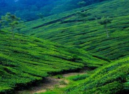 4N 5D Chennai coorg Tour