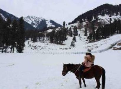 04Nights 05 days With Tulip Garden