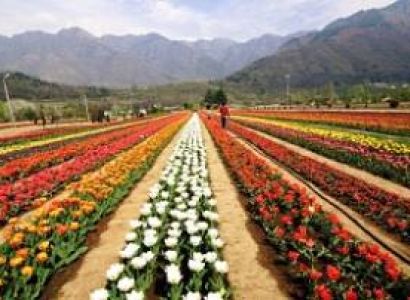 Kashmir Tour Package 4 Nights - 5 Days