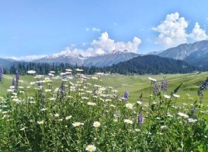 6 Days Family Tour To 3-Jewels Of Kashmir