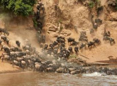 6-Day Serengeti Migration Safari