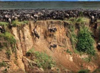 8-Day Serengeti Migration Safari